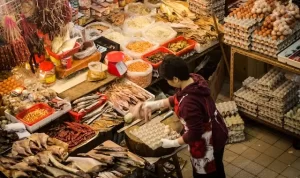 Inilah Penyebab Harga Telur Naik!