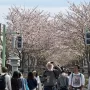 Indonesian Embassy in Tokyo Urges Indonesians to Stay Safe During Endemic Period