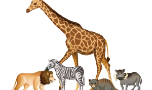 Cara Menggambar Hewan Menggunakan Pensil Warna dan Cat Air