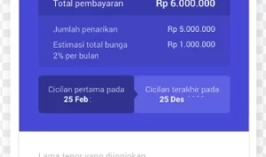 Pinjam di Flexi Cash Jenius BTPN