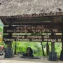 Keunikan Kampung Adat Cirendeu di Cimahi, Cocok untuk Pecinta Alam dan Budaya