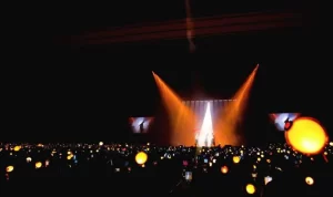 istilah PCD