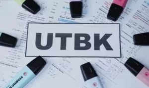 Ini Cara Cek Pengumuman SNBT UTBK, Catat Jadwalnya!