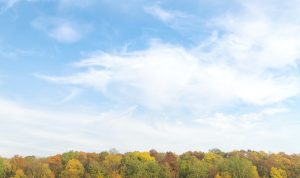 Prakiraan Cuaca Bandung Hari Ini, Minggu (14/5): Berawan