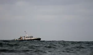 7 Bodies of Crew Members of Drowned Chinese Ship Found