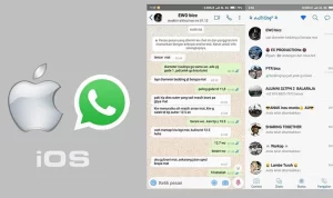 Download Whatsapp iOS