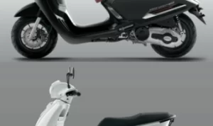 Motor Scoopy Stylo 160