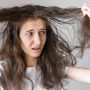 Cara Mengatasi Rambut Kering dan Rusak Menjadi Sehat Lembut Seharian!