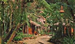 Rekomendasi Wisata Bandung, Ini Tempat yang Wajib Dikunjungi