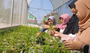 Mahasiswa UPI Laksanakan Pelatihan Literasi Hidroponik di Alkasyaf