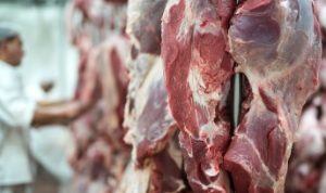 3 golongan penerima daging kurban