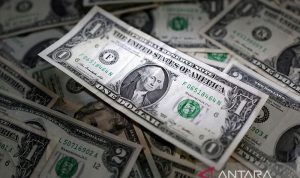 US Dollar Rises Amid Strong Consumer Sentiment