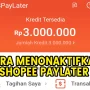 2 Cara Menonaktifkan Shopee PayLater dengan Mudah!