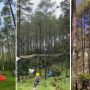 Wisata Hutan pinus terbaik di Bandung.