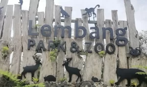 Wisata Bandung Lembang Park Zoo, Harga Tiket, Binatang, dan Fasilitas