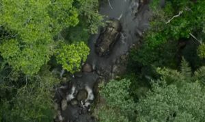 Gass Nonton Sekarang! Jadwal Film Transformers: Rise Of The Beasts Selasa, 20 Juni 2023 di CGV Jakarta! Jadwal Film Transformers: Rise Of The Beasts di CGV Jakarta