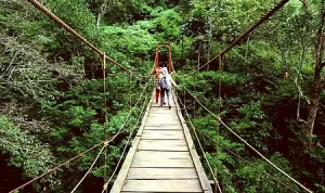 Rekomendasi Wisata Bandung Bagi Anda yang Mencari Udara Sejuk