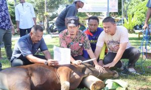 Apakah Sudah Tau ? Bacaan Saat Menyembelih Hewan Qurban