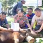 Apakah Sudah Tau ? Bacaan Saat Menyembelih Hewan Qurban