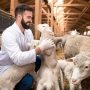 Qurban di Tahun Ini ? Yuk Kenali Sunnah Sebelum Melaksanakan Qurban