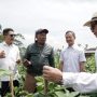 ASEAN-BAC Supports Improvement of Food Safety Standards