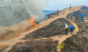 BMKG Urges West Manggarai Residents to be Aware of Forest and Land Fires Caused by El Nino