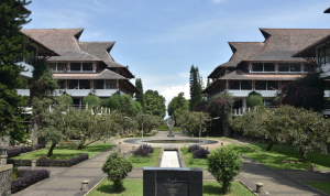 perguruan tinggi