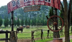 Wow! Inilah 5 Tempat Wisata Lembang Bandung yang Bikin Liburanmu Tak Terlupakan! Wow! Inilah 5 Tempat Wisata Lembang Bandung yang Bikin Liburanmu Tak Terlupakan!