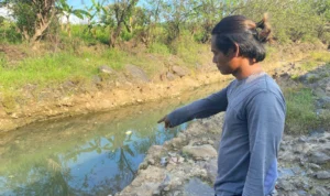 Bocah Tewas Tenggelam di Desa Sampiran Kabupaten Cirebon Bocah Tewas Tenggelam di Desa Sampiran Kabupaten Cirebon
