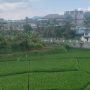 DP3H Minta Petani Cianjur Menanam Padi Lebih Cepat