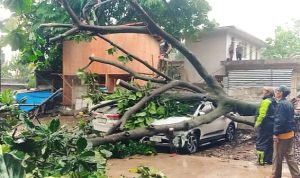 Diguyur Hujan Angin, 28 Bencana Terjang Kota Bogor Diguyur Hujan Angin, 28 Bencana Terjang Kota Bogor