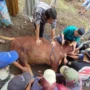 Diskanak Garut Periksa Daging Hewan Kurban Layak Konsumsi