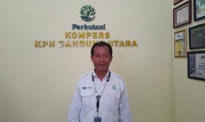 Tak Khawatir Hadapi Musim Kemarau, Perum Perhutani KPH Bandung Utara Lakukan Antisipasi / Yanuar Baswata