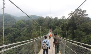 6 Rekomendasi Destinasi Wisata Edukatif dan Seru untuk Liburan Sekolah, Bisa Nambah Pengetahuan