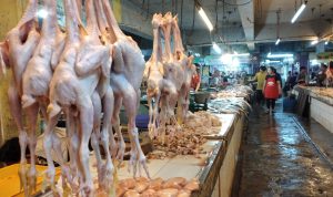 Jelang Idul Adha Harga Daging Ayam Naik, Tembus Rp40 Ribu