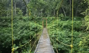 TAHURA Ir. H. Djuanda: Tempat Wisata Bandung dengan Pesona Alam yang Sempurna