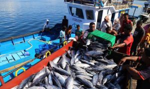KKP Lakukan Penghitungan Kuota Penangkapan Ikan