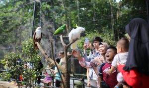 Sejumlah pengunjung Kebun Binatang Bandung tampak akrab dengan beberapa satwa.