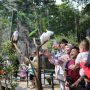Sejumlah pengunjung Kebun Binatang Bandung tampak akrab dengan beberapa satwa.