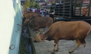 Kemenkumham Adakan Kegiatan Kurban di Lapas Wilayah Sumsel