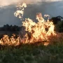Land Fires in Aceh Reach 13 Hectares, Firefighting Hampered by Lack of Water Sources