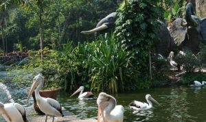 Liburan Bersama Satwa Melalui Wisata Kebun Binatang di Bandung