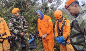 Lokasi Pesawat SAM Air PK-SMW yang Jatuh di Hutan Yalimo Sulit Dijangkau, SAR: Sedang Berusaha