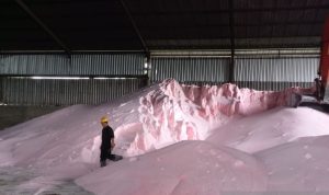 PI Provides 375,492 Tons of Subsidized Fertilizer for Eastern Indonesia