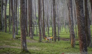 wisata bandung