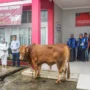 Perayaan Idul Adha di Lapas Medan, Sembelih 11 Hewan Kurban!