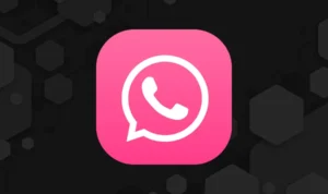 Malaysians Asked Not to Download "Pink Whatsapp" App