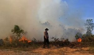 Polisi Beberkan 15 Tersangka Atas Kasus Karhutla di Riau Polisi Beberkan 15 Tersangka Atas Kasus Karhutla di Riau