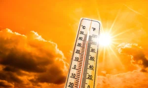 Gelombang Panas Memangsa Ratusan Korban Jiwa di Meksiko, Suhu Mencapai 50 Derajat Celsius!