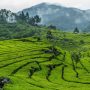 3 Destinasi Wisata Alam di Bandung yang Bikin Kamu Melayang di Antara Keindahan Alamnya